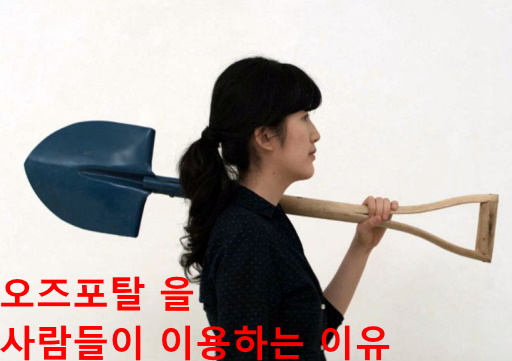 오즈포탈